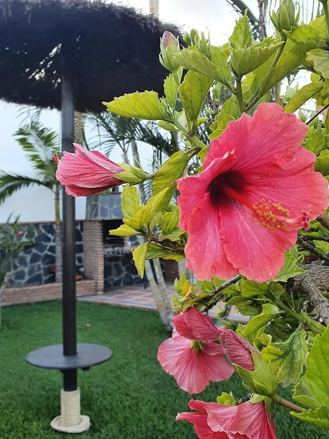 Villa Angelyn Nerja 0*,  Spain